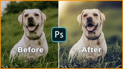 Editing Tips for Pet Photos: How to Enhance Your Images for a Professional Look